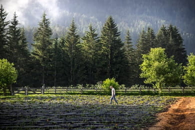 Čistá příroda Tyroslka, kde sídlí farma Alpe Pragas